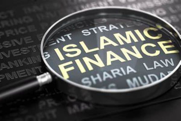 Islamic Financial Planner - Magnifying glass on Islamic Finance and Sharia Law